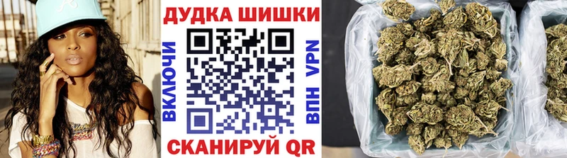закладка  Любань  Шишки марихуана план 